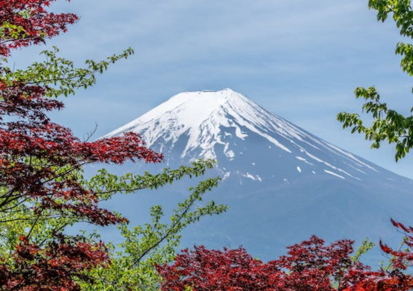 Mt Fuji & Hakone pediatravel