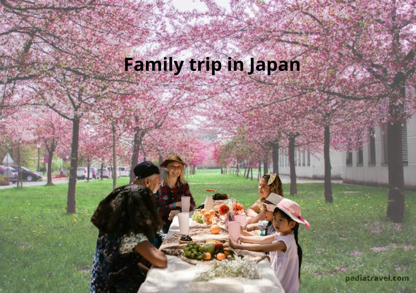 Family trip in Japan
pediatravel.com
