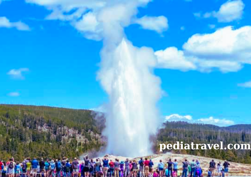 Yellowstone National Park - Best places to visit in The USA
pediatravel.com
booking.com
viator