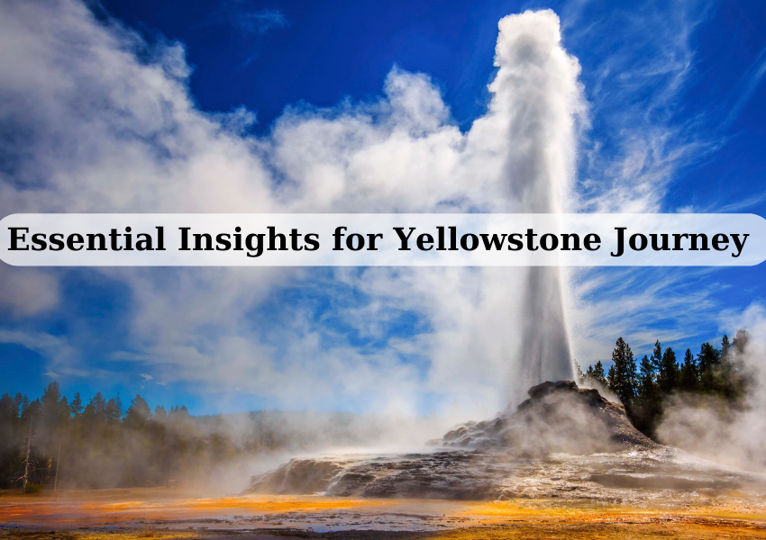 Essential Insights for Yellowstone Journey
pediatravel.com